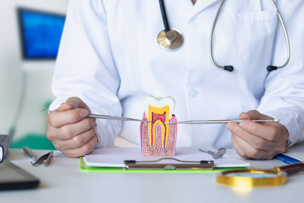 Best Emergency Root Canal Therapy in Whiteville, NC